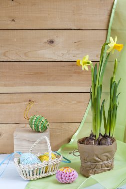 Yellow daffodil (narcissus) and in pot and handmade Happy Easter eggs on a light wooden background