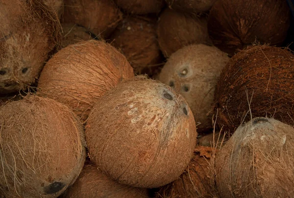 Dry coconut peeling in fresh market — Stock Photo, Image