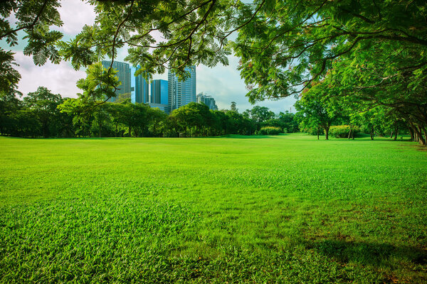 Beautiful morning sun shining light in public park with green grass field and green fresh tree plant perspective use as copy space and natural background,backdrop