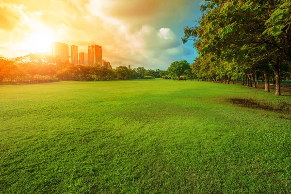 Bela luz da manhã no parque público com campo de grama verde e — Fotografia de Stock