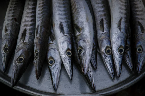 Acuerdo de primer plano para la venta en el mercado de alimentos de mar de Indo-Pacifi —  Fotos de Stock