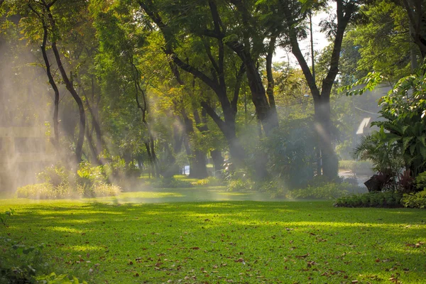 Nebel von Gartensprenger im öffentlichen Park bangkok thailand — Stockfoto