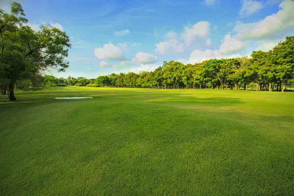 Landscape of grass field and green environment public park use a — Stock Photo, Image