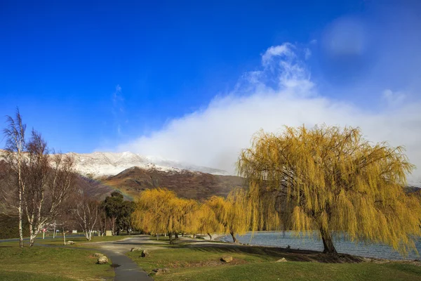 Mooi openbaar park en weinig regenboog op berg in wanaka t — Stockfoto