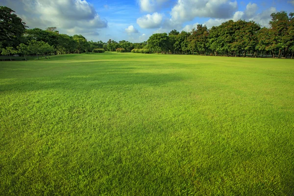 Beautiful morning light of green grass lawn in public park use a — Stock Photo, Image