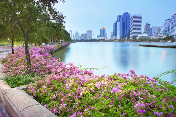 Magenta papper blommor och sjön i offentlig park och skyskrapan — Stockfoto