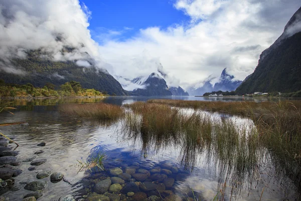 Vackra natursköna av milfordsound fiordland nationalpark vikti — Stockfoto