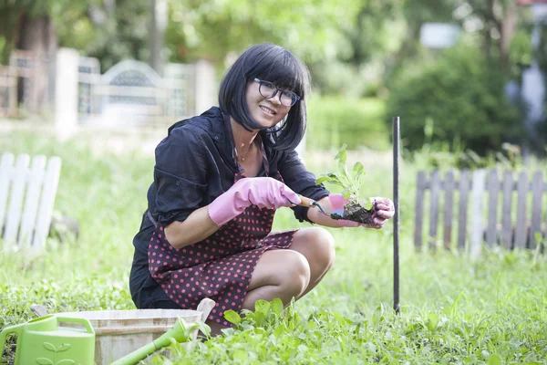 Ασιατικές γυναίκα χαλαρώνοντας ευτυχία συγκίνηση φυτεύοντας τα οργανικά vegetabl — Φωτογραφία Αρχείου