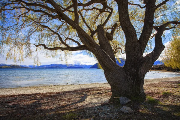 Mooie schilderachtige lake wanaka Nieuw-Zeeland belangrijk reizen — Stockfoto
