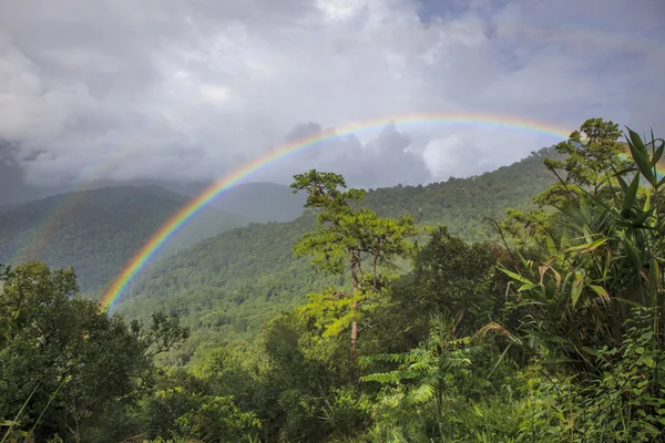 Rainbow in moiseture raining day at doi inthanon chiangmai north — Stock Photo, Image