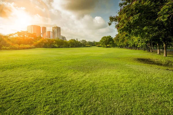 Bela luz da manhã no parque público com campo de grama e gree — Fotografia de Stock