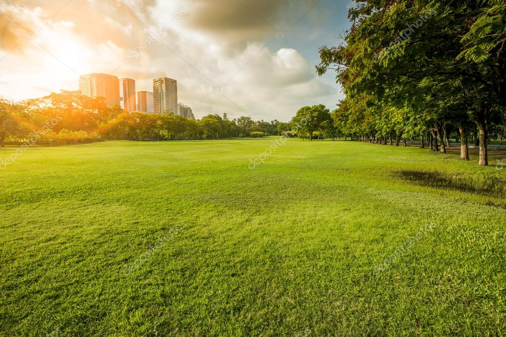 Grassy Area Background Pack