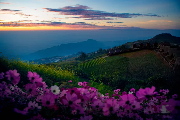 Hermosa Luz Mañana Phu Tubberk Uno Los Destinos Más Populares —  Fotos de Stock