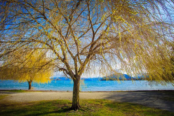 Beautiful Scenci Lake Wanaka Southland New Zealand — Stock Photo, Image