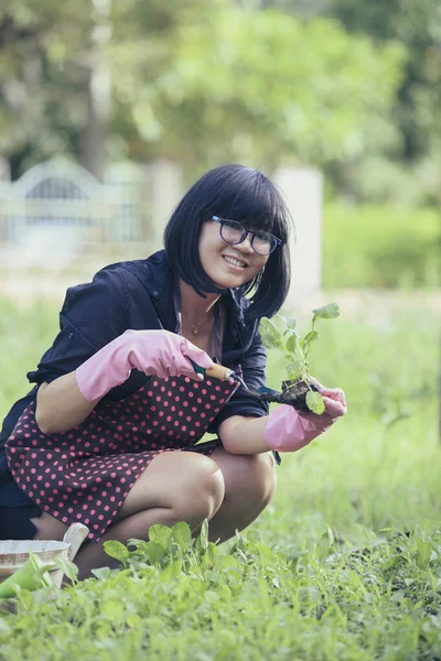 Asiático Mujer Plantación Vegetal Casa Jardín —  Fotos de Stock