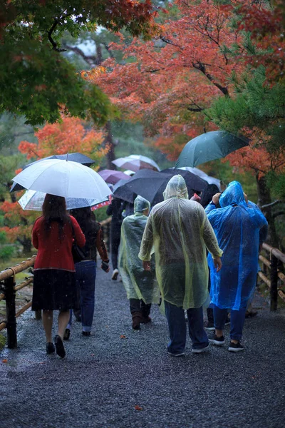 group of people walking in season change park against raining kyoto japan