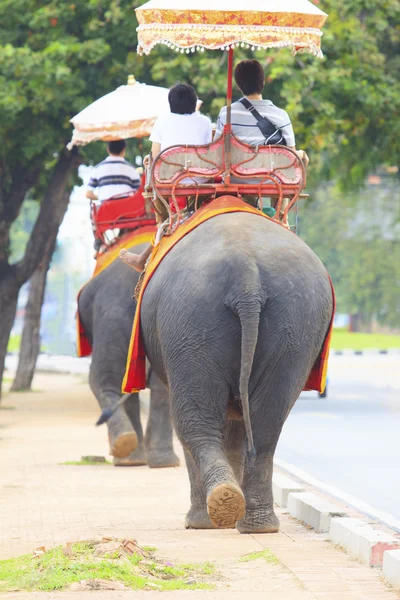 Randonnée touristique sur l'éléphant retour à pied sur la route latérale pour regarder — Photo