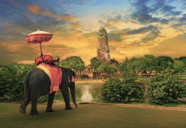 Elefantenanzüge mit traditionellem Zubehör aus dem thailändischen Königreich stehen vor einer alten Pagode in Ayuthaya, die zum Weltkulturerbe gehört und für Tourismus und Mehrzweck-Hintergrund genutzt wird, Hintergrund — Stockfoto