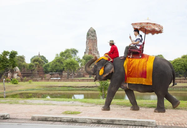 AYUTHAYA THAILAND-SEPTEMBER 6 : tourist riding on elephant back — Stock Photo, Image
