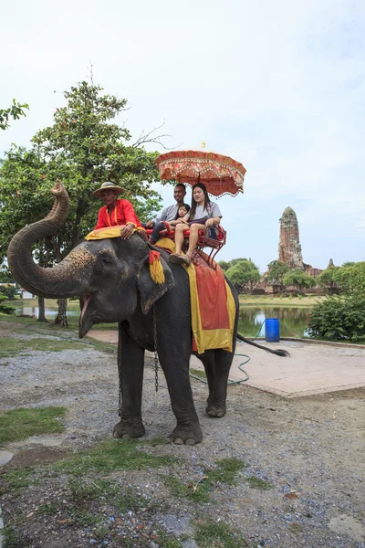 Ayuthaya, Ταϊλάνδη-Σεπτεμβρίου 6: τουριστικής ιππασίας στο πίσω μέρος του ελέφαντα — Φωτογραφία Αρχείου
