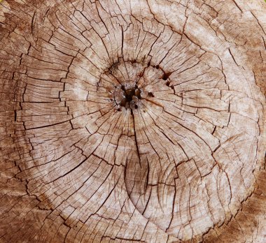 soyut ağaç güdük kesme yüzey kullanım doku, backgrou için