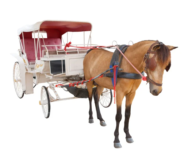 Cabina de carro de cuento de hadas caballo aislado fondo blanco uso fo —  Fotos de Stock
