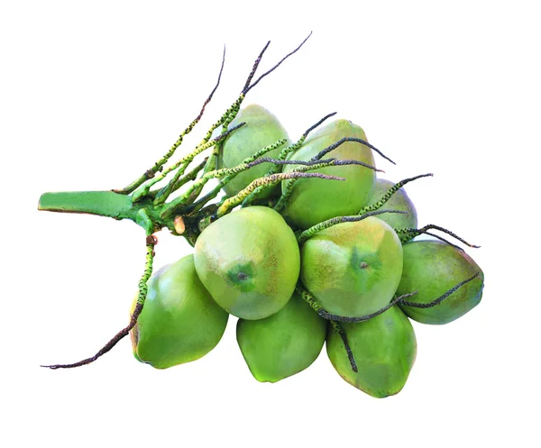 Куча зеленых кокосовых групп на белом фоне — стоковое фото