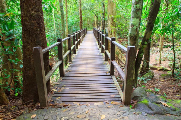 Wood bridge in deep forest crossing water stream Royalty Free Stock Images