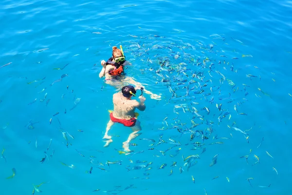 Esnórquel turístico en agua de mar azul claro y alimentación a trópico — Foto de Stock