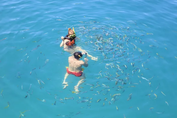 TRAT THAILAND - OCT29 : visitor  snorkeling and feeding some foo — Stock Photo, Image