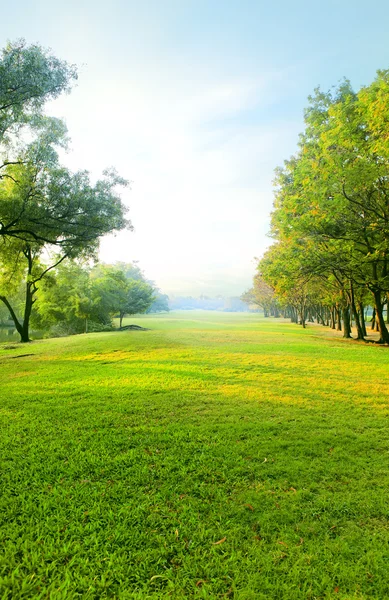 Hermosa luz de la mañana en el parque público con campo de hierba verde y — Foto de Stock