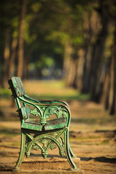 Green bench in public park