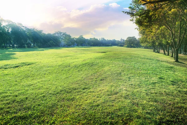 Красивый перспективный ландшафт зеленой окружающей среды парка и sm — стоковое фото