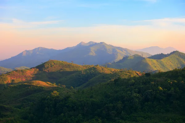 Krásný pozemek stvol horského lesa mezi Thajskem a mya — Stock fotografie