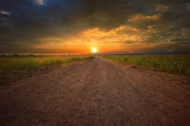 Beautiful land scape of dusty road perspective to sun set sky wi clipart