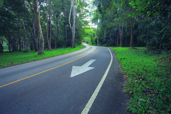 Asphalt road in deep forest use as landtransport in nature wild — Stock Photo, Image