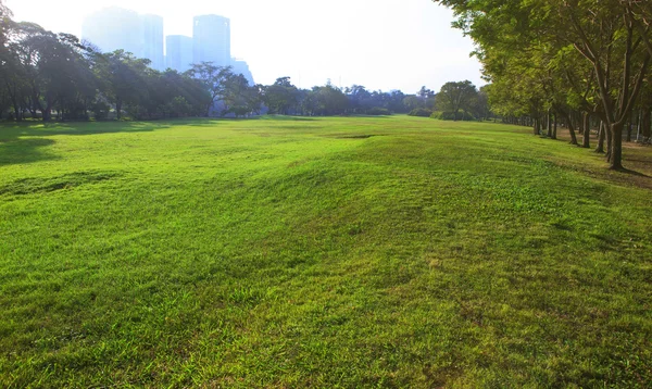 Belle lumière du matin dans le parc public avec champ d'herbe verte un — Photo