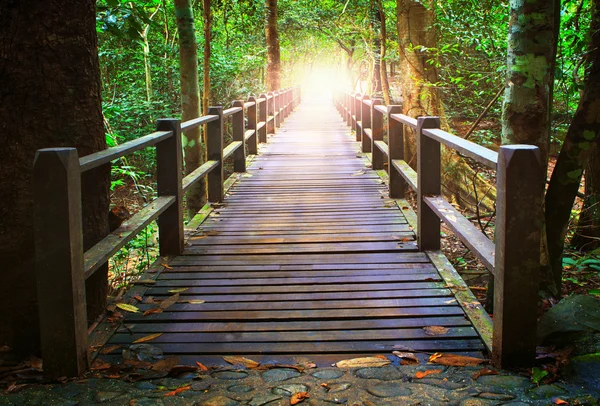 Perspectiva del puente de madera en el bosque profundo que cruza el arroyo de agua — Foto de Stock