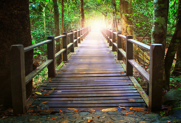 Perspective of wood bridge in deep forest crossing water stream
