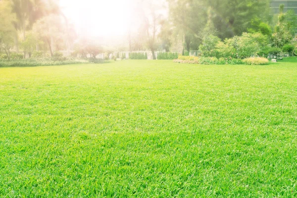 Vibrant of playground,meadow ,green grass field — Stock Photo, Image