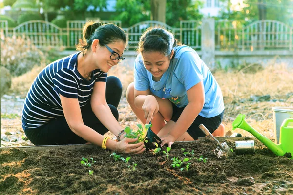 Mãe e filha plantando vegetais em casa jardim fiel — Fotografia de Stock