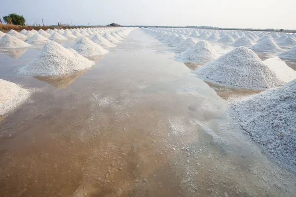 Tumpukan garam laut dalam garam asli menghasilkan pertanian terbuat dari alam — Stok Foto