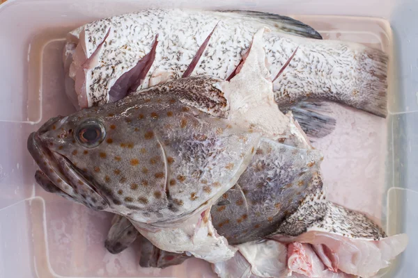 Meat of freshness grouper fish in sea food market preparing to c — Stock Photo, Image