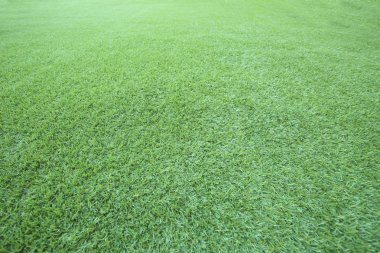 doğal arka plan, zemin ve doku olarak yeşil çim zemin kullanmak