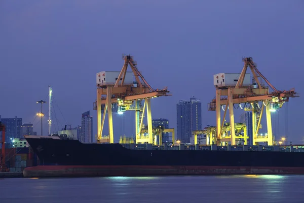 Красивий контейнерний корабель в порту з освітленням і тьмяним небом — стокове фото