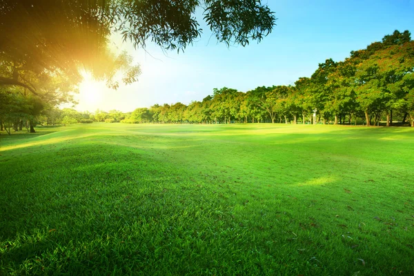 Belo sol da manhã brilhando luz no parque público com gr verde — Fotografia de Stock