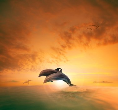 Deniz dophin orta AI yüzen dalga okyanus atlama çiftler