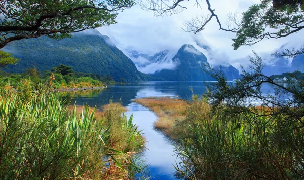 Inny widok punkt milford sound w Parku Narodowego ziemi fiord — Zdjęcie stockowe