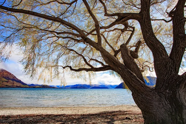 Bela cena do lago wanaka ilha sul nova zelândia — Fotografia de Stock