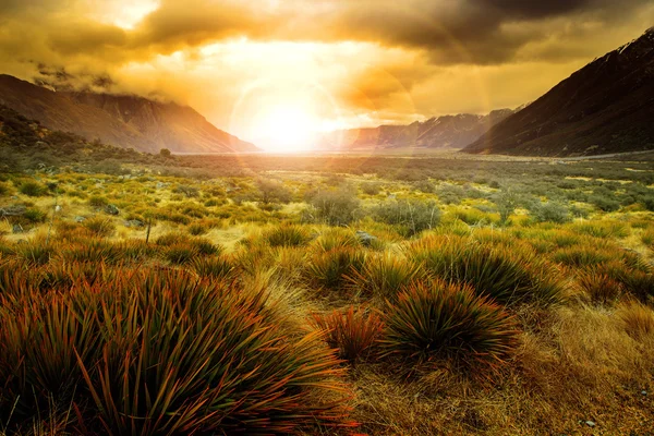 Sun rising behind grass field in open country of new zealand sce — Stock Photo, Image
